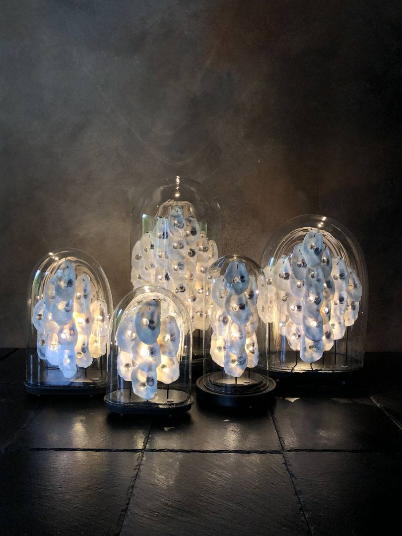 Groupe de cinq globes